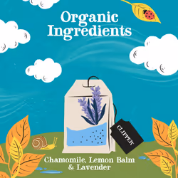 Clipper Sleep Time Infusion Teabags | 80 Chamomile, Lemon Balm and Lavender Tea Bags (4x Boxes of 20) | Caffeine-Free Herbal Tea Bags | Natural,