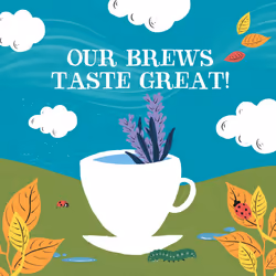 Clipper Sleep Time Infusion Teabags | 80 Chamomile, Lemon Balm and Lavender Tea Bags (4x Boxes of 20) | Caffeine-Free Herbal Tea Bags | Natural,