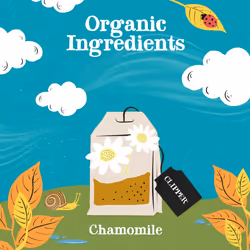Clipper Organic Chamomile Tea Bags | 120 Infusion Teabag Sachets (6 x Boxes of 20) | Bulk Buy for Home & Catering | Caffeine-Free Herbal Tea Bags |