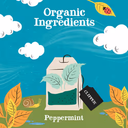 Clipper Organic Peppermint Tea Bags | 120 Infusion Mint Teabag Sachets (6x Boxes of 20) | Bulk Buy, Home & Catering | Caffeine-Free Herbal Tea Bags |