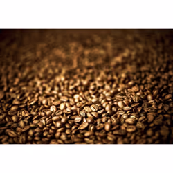 NESCAF? Espresso Instant Coffee, Rich Crema, 100 Percent Arabica Premium Instant Espresso Coffee, 95g (Pack of 6)