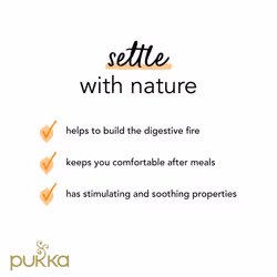 Pukka Herbs | Three Ginger Organic Herbal Tea Box | Digestion-Aiding Infusion With Ginger, Turmeric, And Galangal | Ideal After Meals | Caffeine Free