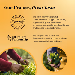 Twinings Everyday Tea | Classic Blend, Rich & Well Rounded Black Tea | Multipack Bulk Buy, 320 (4 x 80) Biodegradable Tea Bags