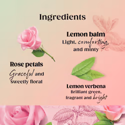 Twinings Superblends Balance Tea - Lemon Balm. Lemon Verbena, Rose Petals & Spearmint with Vitamin B6 - Hormone Balance for Women, 80 Biodegradable