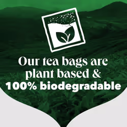 PG Tips Original, Black Tea Bags Bulk, Individually Wrapped String & Tag Teabags, Signature Taste, Refreshing & Flavourful, 200 Plant Based