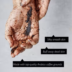 UpCircle Exfoliating Coffee Body Scrub with Lemongrass 220ml - Sea Salt, Shea Butter + Coconut Oil - Exfoliates Your Skin + Improves Circulation -