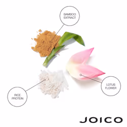 Joico Joifull by Volumizing Conditioner 250ml, (Pack of 1)