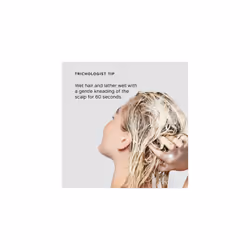 Philip Kingsley | Flaky/Itchy Scalp Shampoo | Anti-Dandruff Shampoo For Flaky, Itchy, Dry, Oily Scalps | Cleansing Scalp Care | Hair Shampoo that