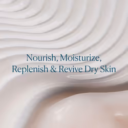 ELEMIS Superfood Midnight Facial Cream & Facial Oil, Nourishing Prebiotic Night Gel Treatment, Moisturising and Hydrating Care with Anti-Oxidant Rich