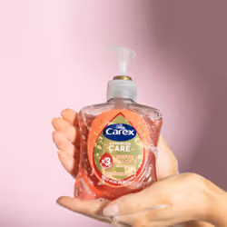 Carex Advanced Care Macadamia Oil Antibacterial Hand Wash, 3x More Moisturisers, Clean & Protect Hands, Bulk Buy, Pack of 6 x 500ml