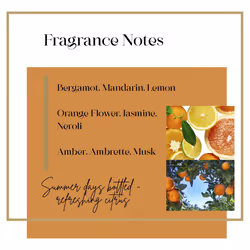 Imperial Leather Refreshing Hand Wash, Mandarin & Neroli, Antibacterial, Signature Oil Blend, Gentle Skin Care, Bulk Buy, Pack of 6 x 500ml