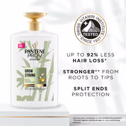 Pantene Biotin & Bamboo Conditioner |For Dry Damaged Hair |Helps Reduce Hair Loss, 1L