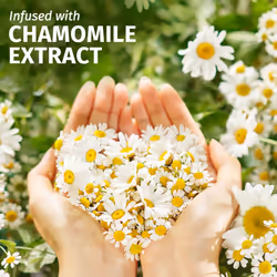 Herbal Essences Chamomile Smooth & Shine Set: Shampoo 350ml + Conditioner 250ml + Lightweight Leave-In Conditioner All In One 145ml
