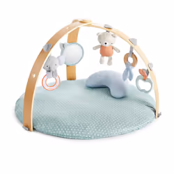 Ingenuity, Cosy Spot Reversible Duvet Activity Gym and Padded Play Mat with Wooden Removable Toy Bar, 6 Detachable Toys, Fold ...