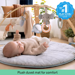 Ingenuity, Cosy Spot Reversible Duvet Activity Gym and Padded Play Mat with Wooden Removable Toy Bar, 6 Detachable Toys, Foldable for Easy Transport,