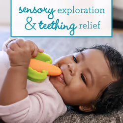 Infantino - Lil' Nibble Teethers - Carot Toother - Toy Toother - Silicone Soft-Textured Teether - Sensory Exploration - Teething Relief - Easy to Hold