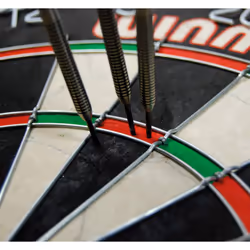 WINMAU Pro SFB Bristle Dartboard