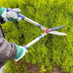 Spear & Jackson 8120RS Razorsharp Telescopic Hedge Shears, Blue