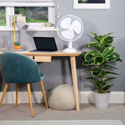 Russell Hobbs 12" Inch, Lightweight, Portable Desk Fan, 3 Speeds, Wide-Angled Oscillation, Powerful Airflow, Quiet Operation, Perfect for Bedroom or