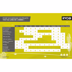 Ryobi - 750 W Pole Pruner - 25 cm Guide Inclined at 15? - 10 M/S - 90 cm Extension Tube Included - RPP755E