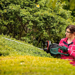 Bosch Trimmer AdvancedHedgeCut 65 (500 W, Blade Length: 65 cm, for Large Hedges, Tooth Opening: 34 mm, in Carton Packaging)