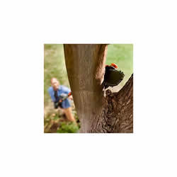 WORX WG349E.9 Cordless Pole Pruner/Saw, (Tool only, Battery and Charger Sold Separately), Black, 18V (20V Max)