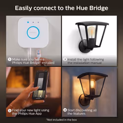 Philips Hue Inara White Smart Light Wall Lantern. (Black) for Outdoor Smart Home Lighting, Patio, Terrace and Garden