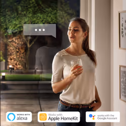 Philips Hue Econic White and Colour Ambiance LED Smart Garden Wall Light [Down Lantern], Works with Alexa, Google Assistant and Apple Homekit