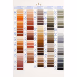 DMC Stranded Cotton Shade Card - W100B