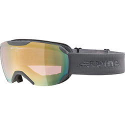 ALPINA Unisex - Adult, PHEOS S QVM ski goggles, grey, One Size