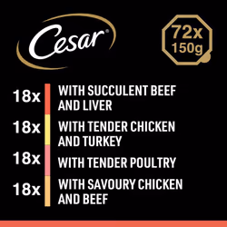 Cesar Classic Terrine Adult Wet Dog Food Trays, Mixed Selection, 72 x 150g