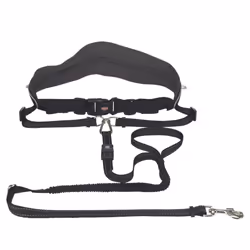 Waist Belt with Lead for Medium-Sized and Large Dogs