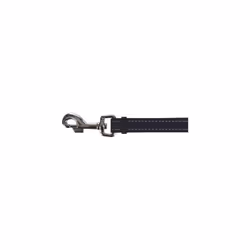 Waist Belt with Lead for Medium-Sized and Large Dogs