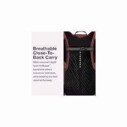 Osprey Sportlite 20 Hiking Backpack, Pine Leaf Green