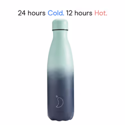Chilly's Water Bottle - Stainless Steel and Reusable - Leak Proof, Sweat Free - Deep Spring, 500ml