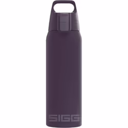 SIGG - Insulated Water Bottle - Shield Therm One - Suitable for Carbonated Beverages - Leakproof - Dishwasher Safe - BPA Free ...
