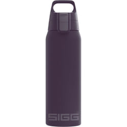 SIGG - Insulated Water Bottle - Shield Therm One - Suitable for Carbonated Beverages - Leakproof - Dishwasher Safe - BPA Free - 90% Recycled Stainless