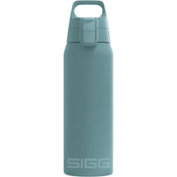 SIGG - Insulated Water Bottle - Shield Therm One - Suitable for Carbonated Beverages - Leakproof - Dishwasher Safe - BPA Free - 90% Recycled Stainless