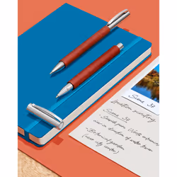 Faber-Castell 148131 - Twist ballpen AMBITION pear tree, refill: B, including gift box, barrel color: brown / silver