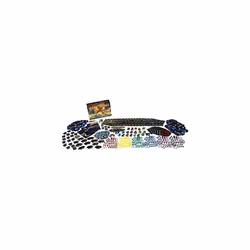 Fantasy Flight Games, Twilight Imperium 4th Edition, Basic Game, Expert Game, Strategy Game, 3-6 Players, Ages 14+, 240+ Minutes, German