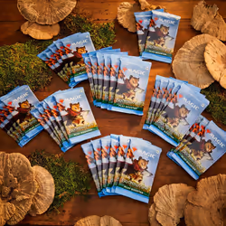 Magic: The Gathering Bloomburrow Play Booster Box - 36 Packs (504 Magic Cards) (English Version)