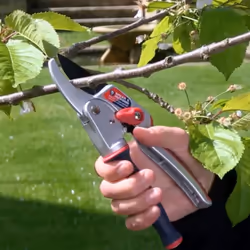Spear & Jackson 6458RS Razorsharp Ratchet Twist Anvil Secateurs, Blue