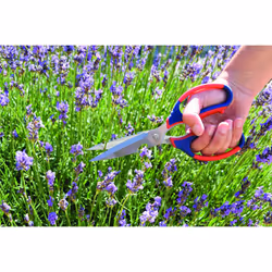 Spear & Jackson 4352MS Razorsharp Multi Scissors