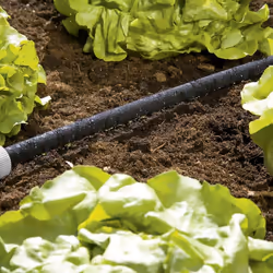 Gardena Soaker Hose: Water-Saving Sprinkler Hose for Watering Plant Rows and beds; Water Savings Individually Adjustable up to 70 Percent, Easy to