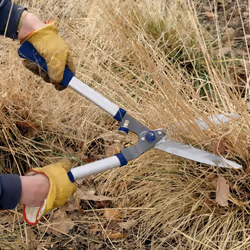 Spear & Jackson 8110RS Razorsharp Notched Hedge Shear, Blue