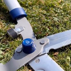 Spear & Jackson 8110RS Razorsharp Notched Hedge Shear, Blue
