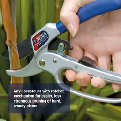 Spear & Jackson 6358RS Razorsharp Ratchet Anvil Secateurs, Silver