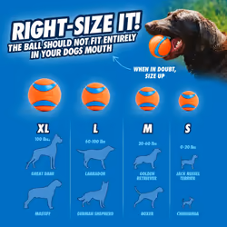 Chuckit! Fetch Medley Gen 3 Rubber Dog Balls, Ultra Ball, Rugged Ball, Fetch Balls for Dogs Launcher Compatible Dog Toy, Medium, 3 Pack