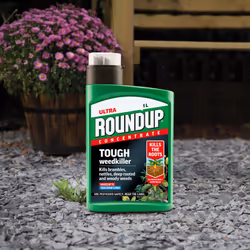 Roundup Tough Weedkiller, Concenrate, Makes up to 100 Litres, 1 Litre