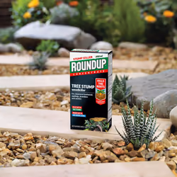 Roundup Tree Stump Weedkiller, Super Concentrate 250 ml